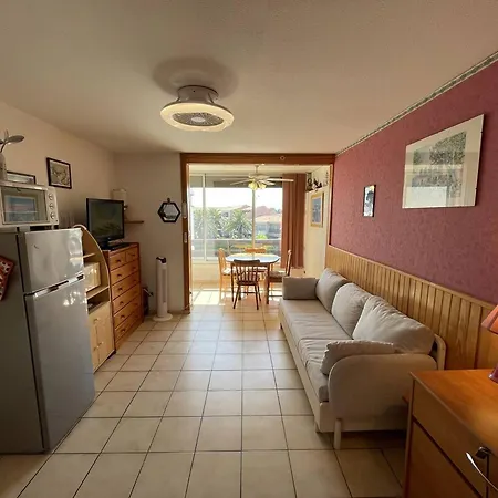 Appartement Avec Piscine A Saint-cyprien, A 50m - Fr-1-106-76
