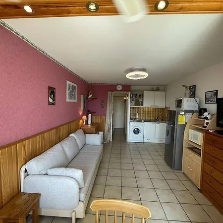 Avec Piscine A Saint-cyprien, A 50m - Fr-1-106-76 Saint-Cyprien (Pyrenees-Orientales)